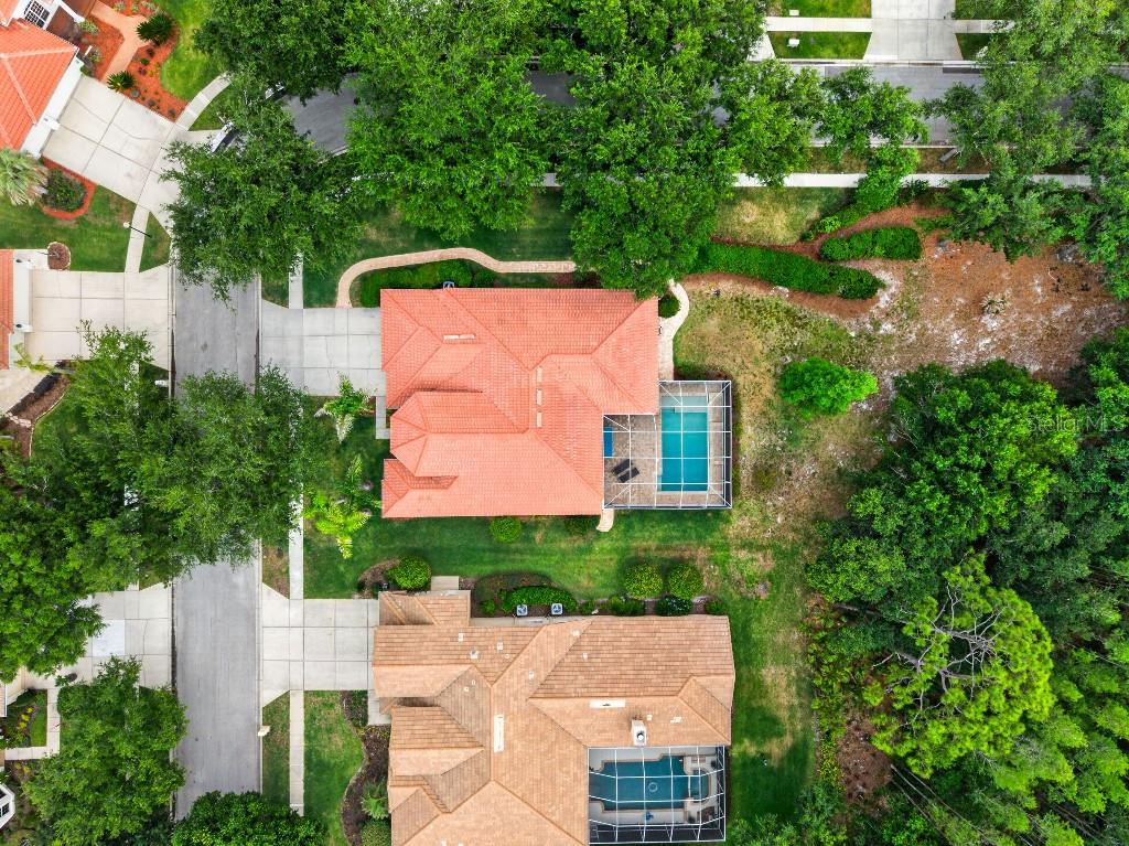 17912 ARBOR HAVEN DR, TAMPA, FL, 33647