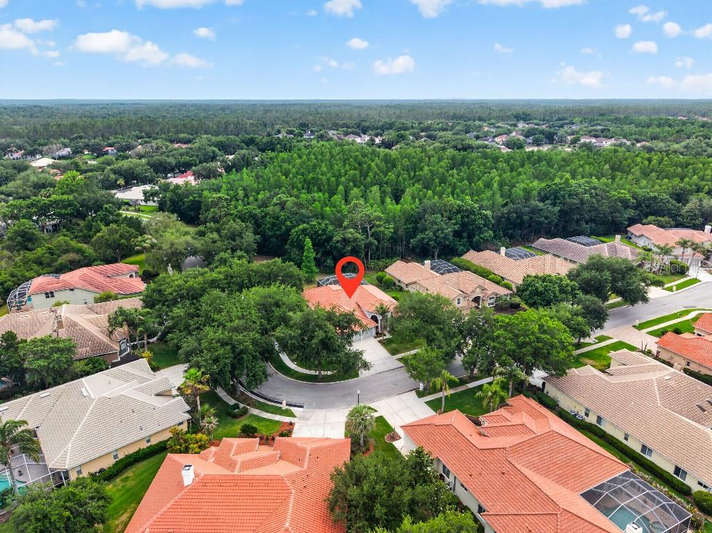 17912 ARBOR HAVEN DR, TAMPA, FL, 33647