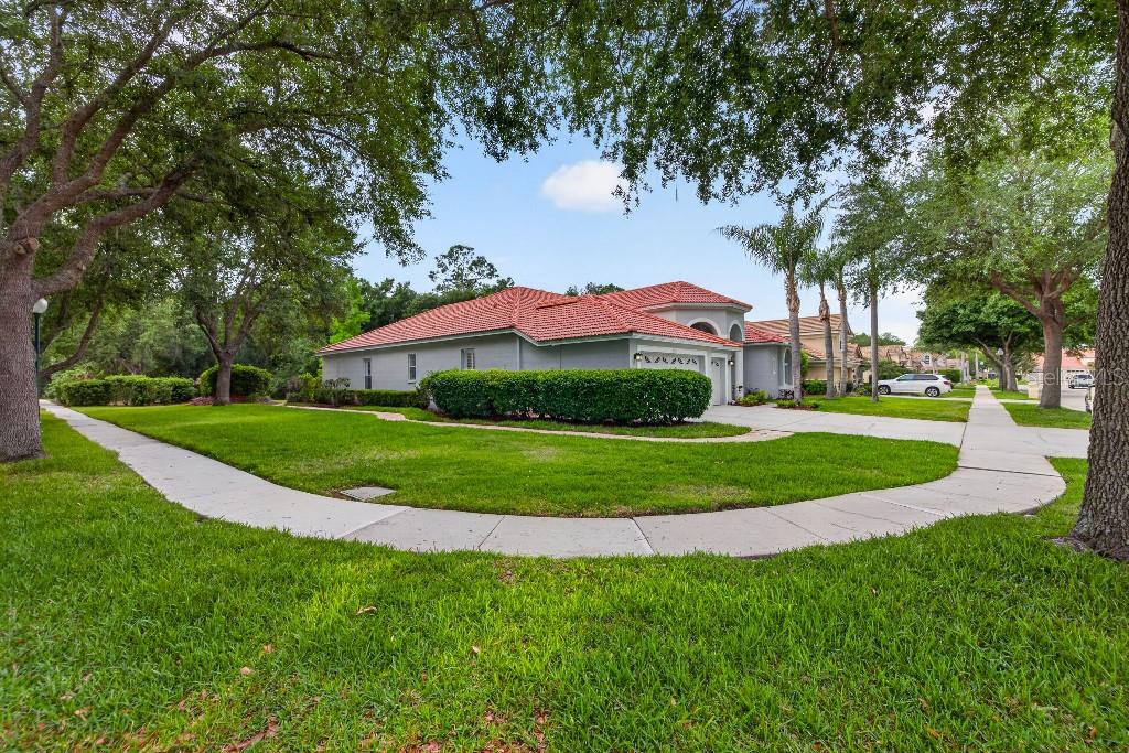 17912 ARBOR HAVEN DR, TAMPA, FL, 33647