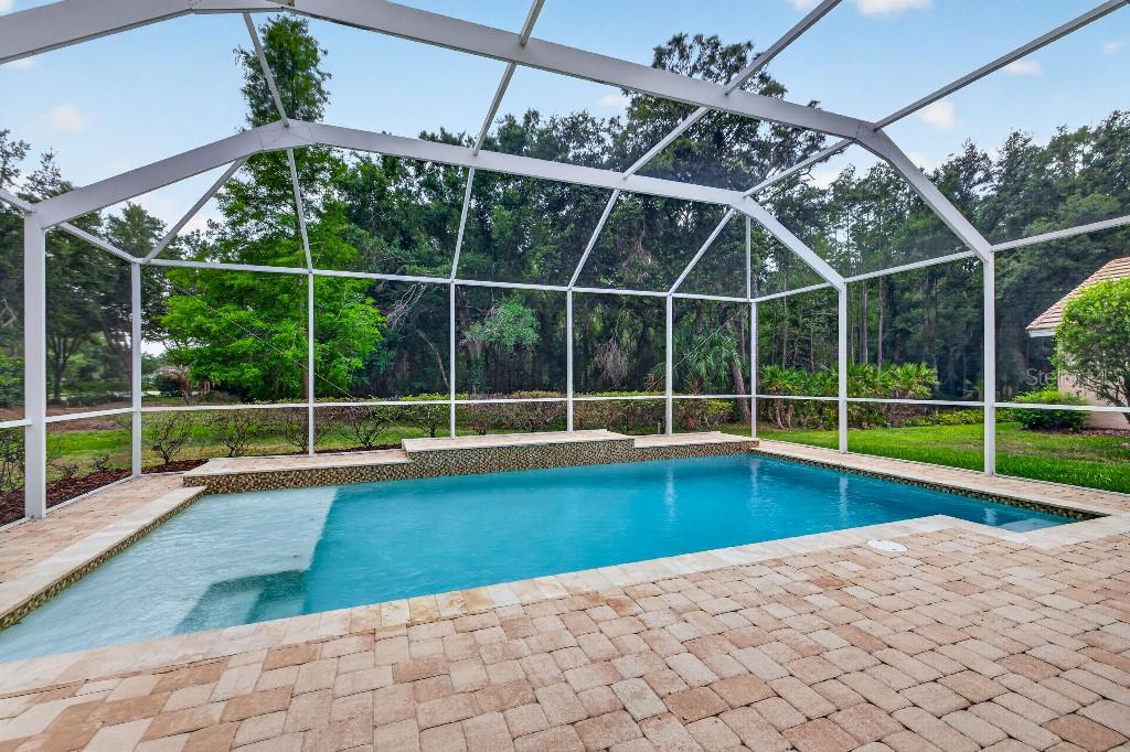 17912 ARBOR HAVEN DR, TAMPA, FL, 33647