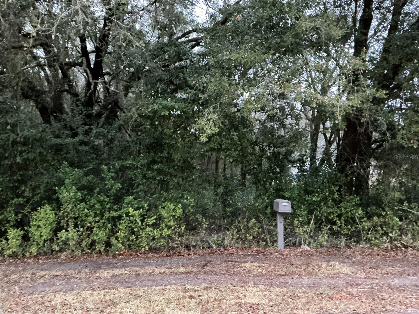 0 SE 143RD PL, SUMMERFIELD, FL, 34491
