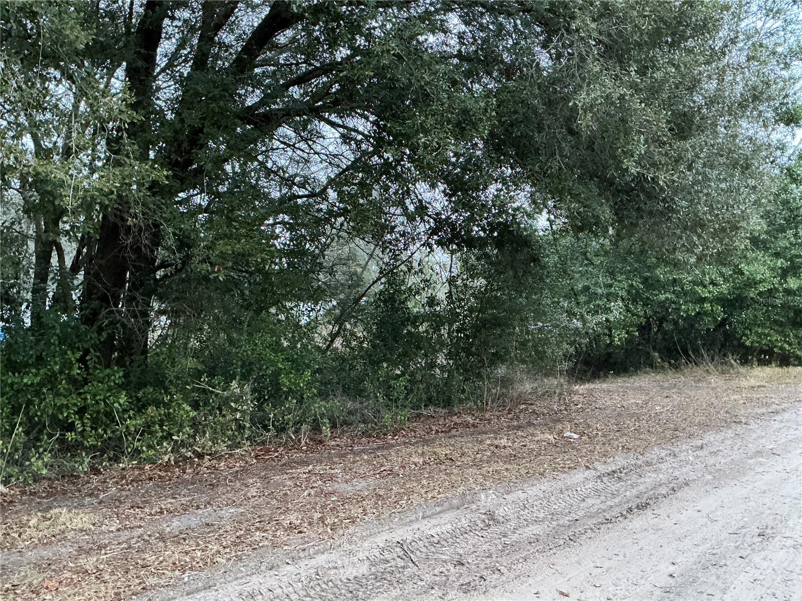 0 SE 143RD PL, SUMMERFIELD, FL, 34491