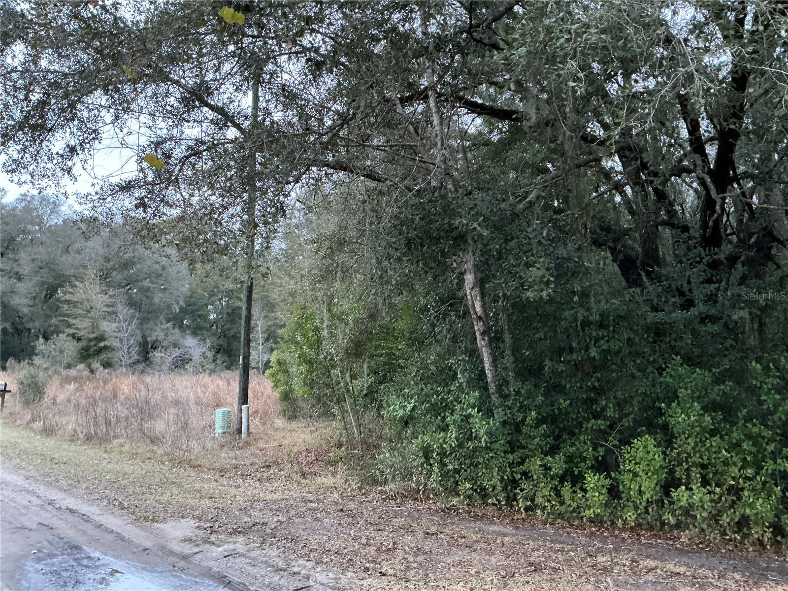 0 SE 143RD PL, SUMMERFIELD, FL, 34491