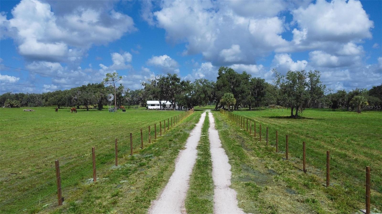 1635 SW RODGERS AVE, ARCADIA, FL, 34266