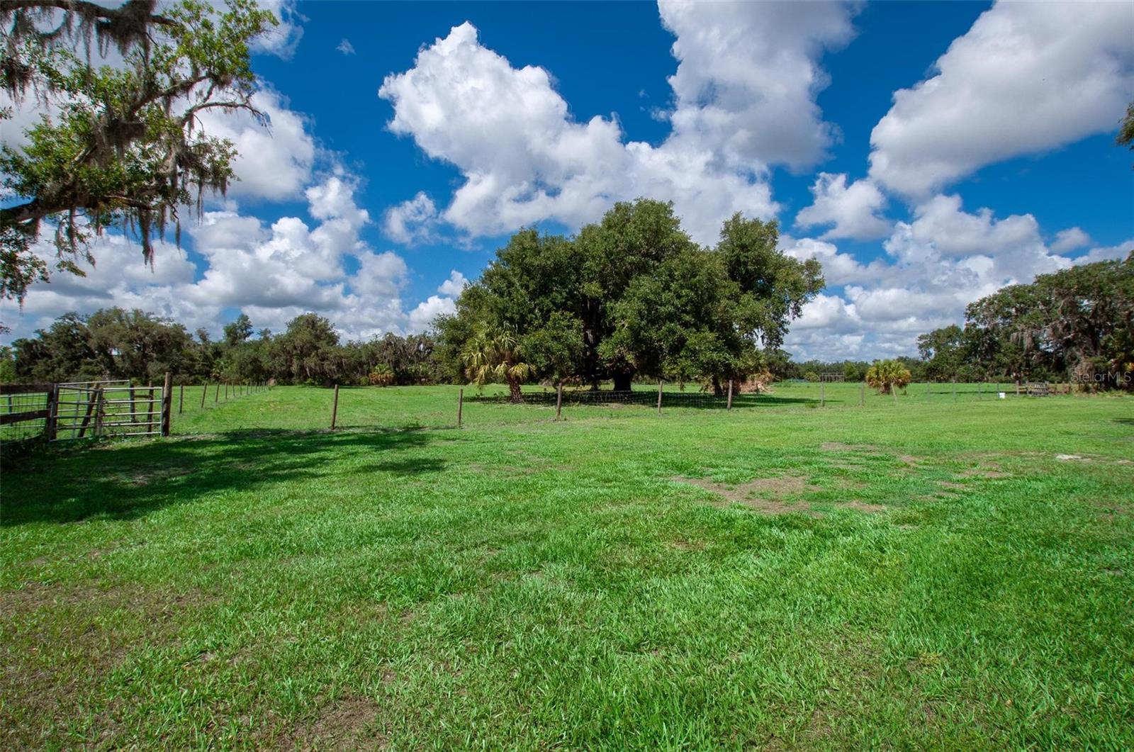 1635 SW RODGERS AVE, ARCADIA, FL, 34266