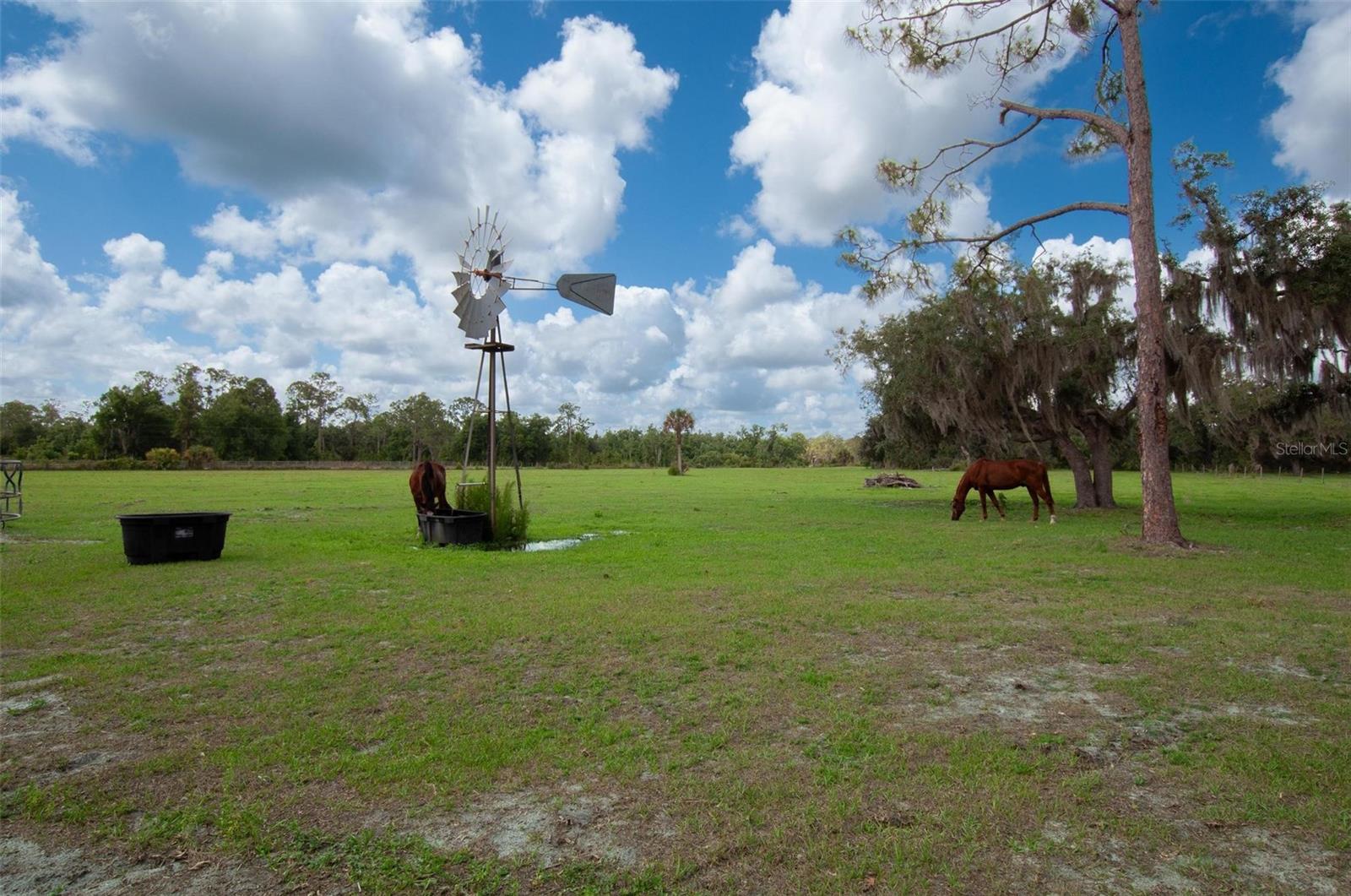 1635 SW RODGERS AVE, ARCADIA, FL, 34266