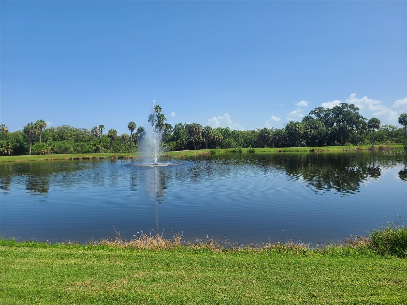 514 BRANDON AVE, CLEARWATER, FL, 33765