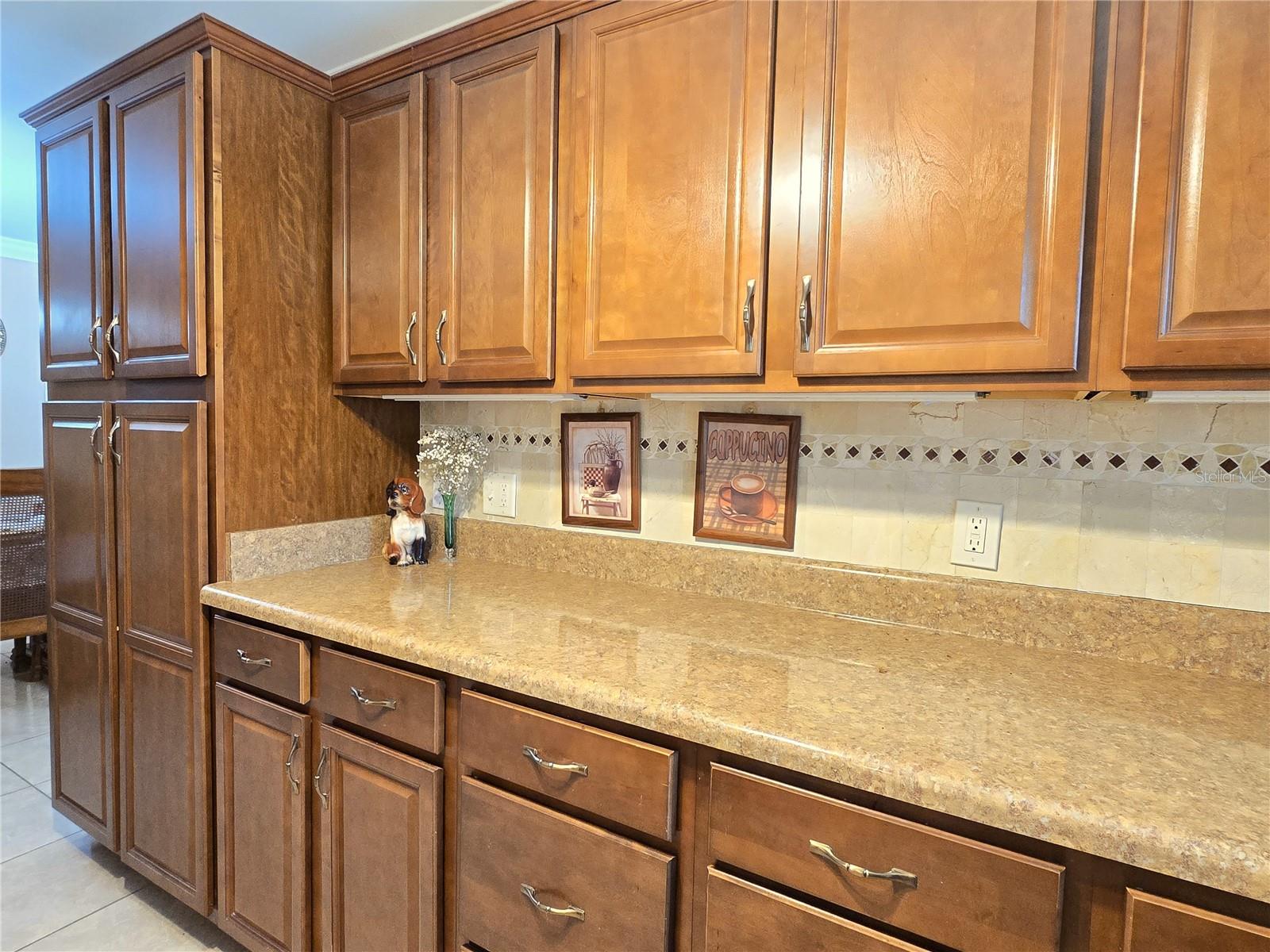 514 BRANDON AVE, CLEARWATER, FL, 33765