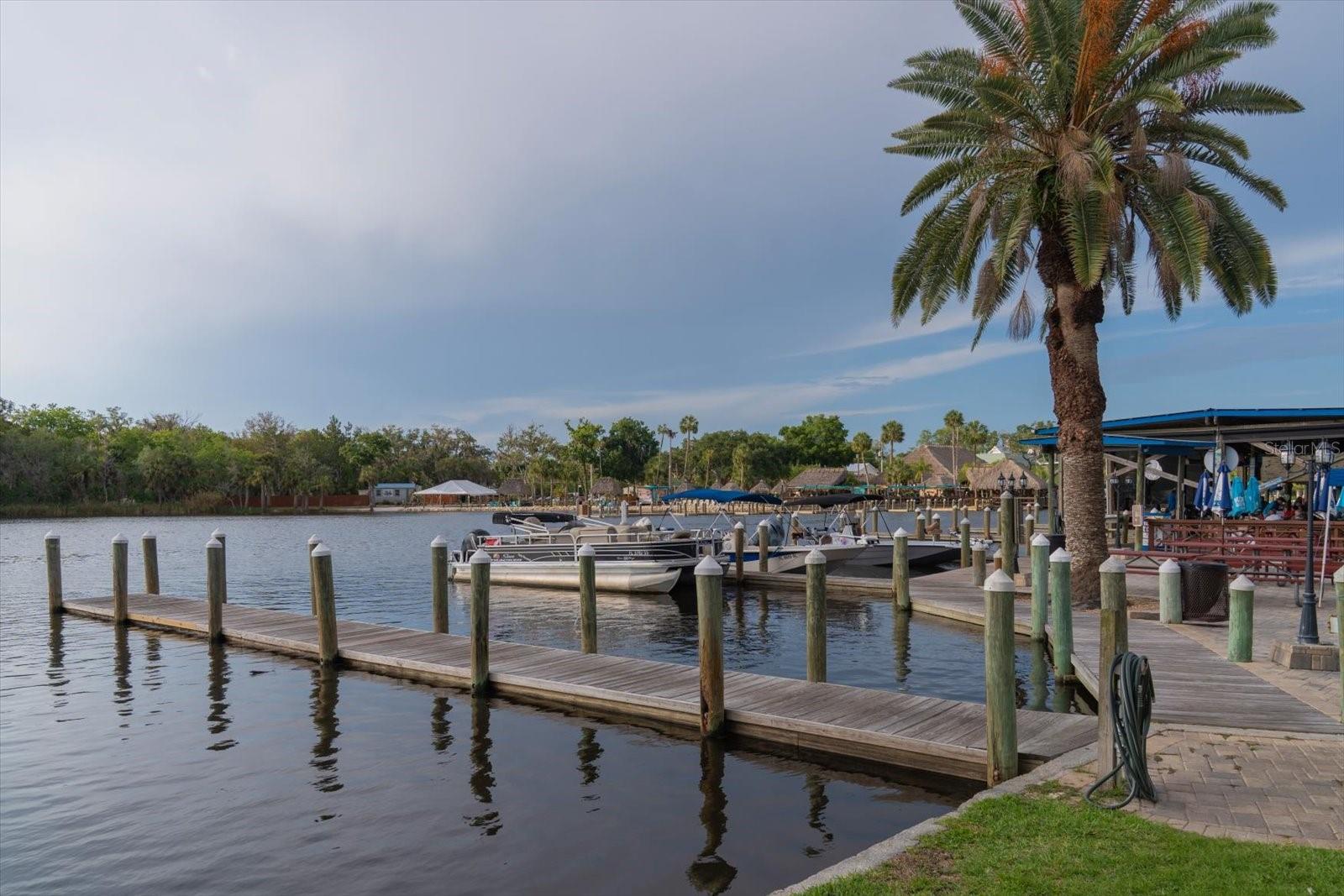 11579 W ROSA CT, HOMOSASSA, FL, 34448