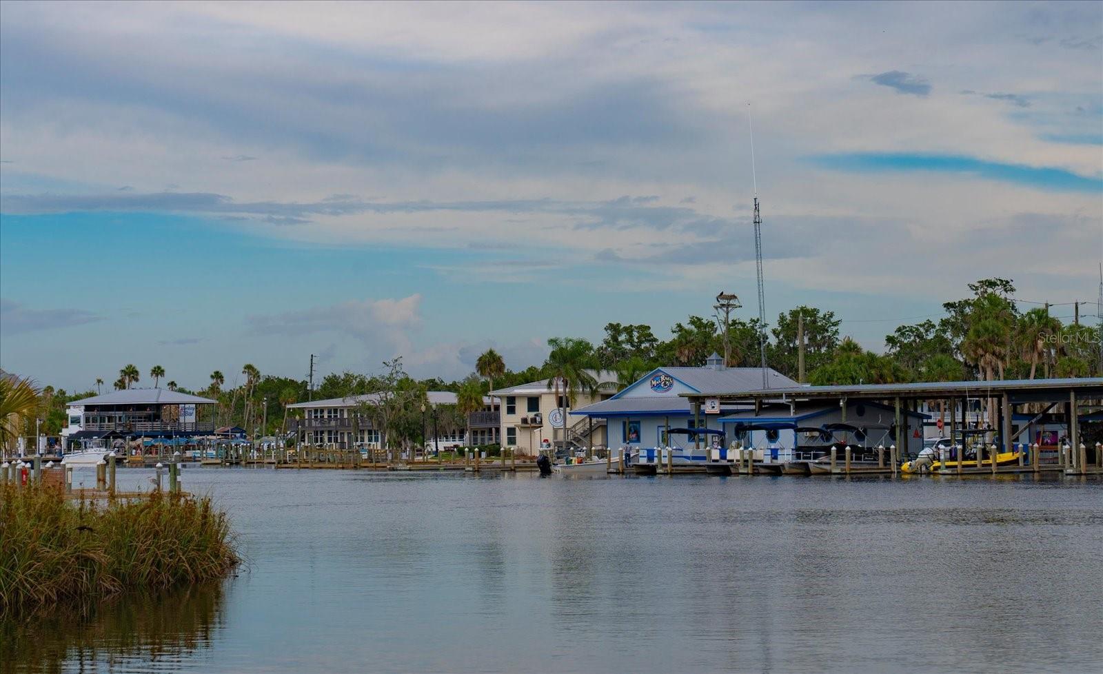11579 W ROSA CT, HOMOSASSA, FL, 34448