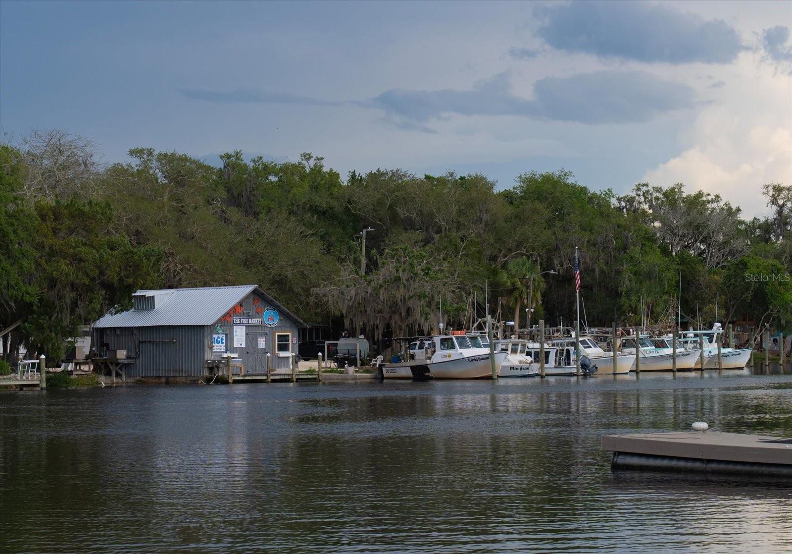 11579 W ROSA CT, HOMOSASSA, FL, 34448