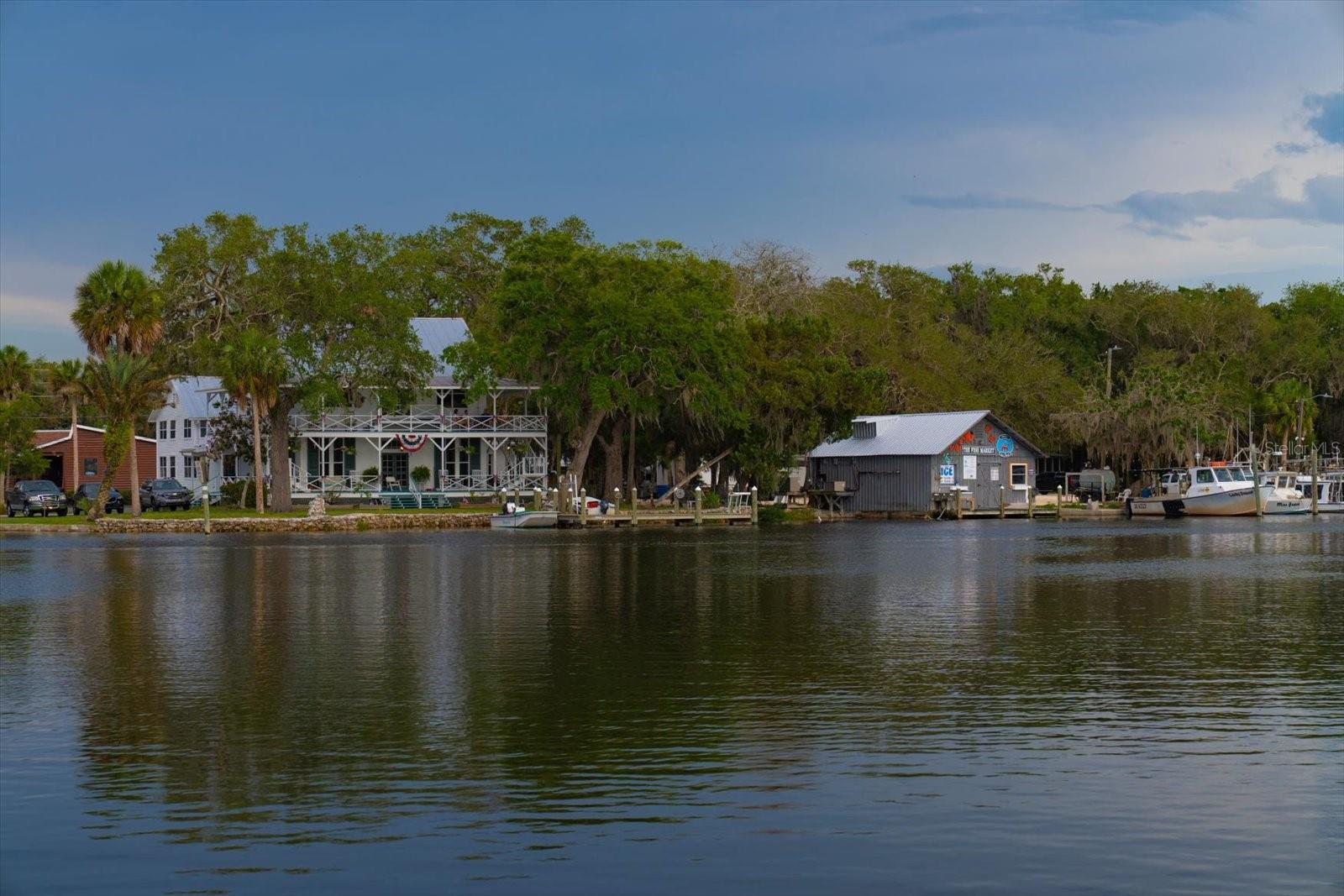 11579 W ROSA CT, HOMOSASSA, FL, 34448