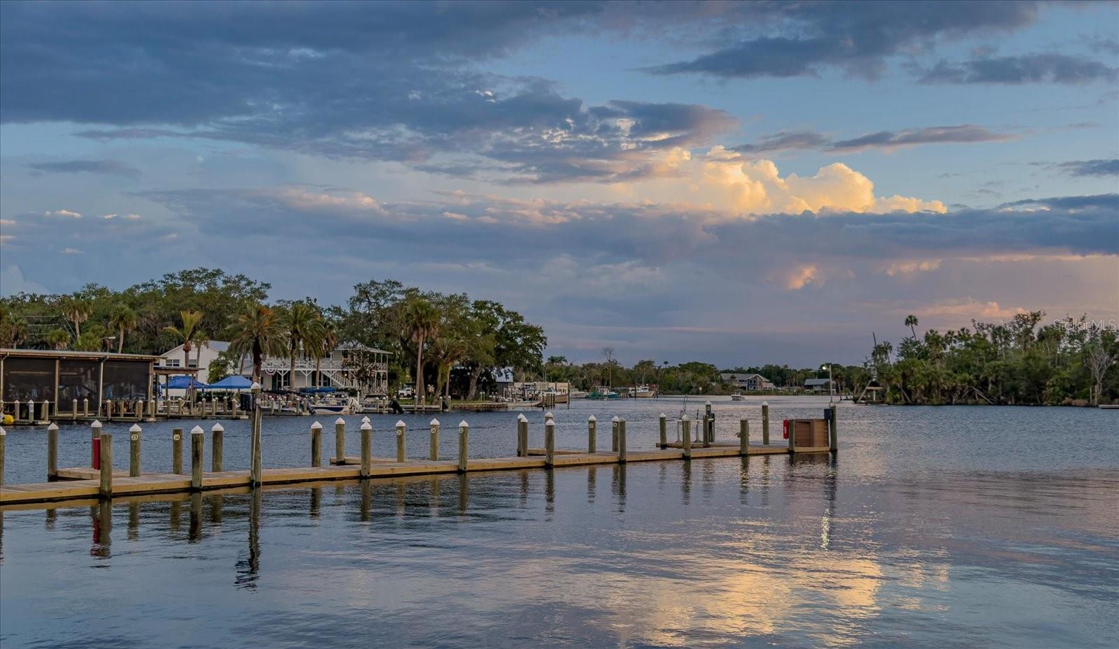 11579 W ROSA CT, HOMOSASSA, FL, 34448