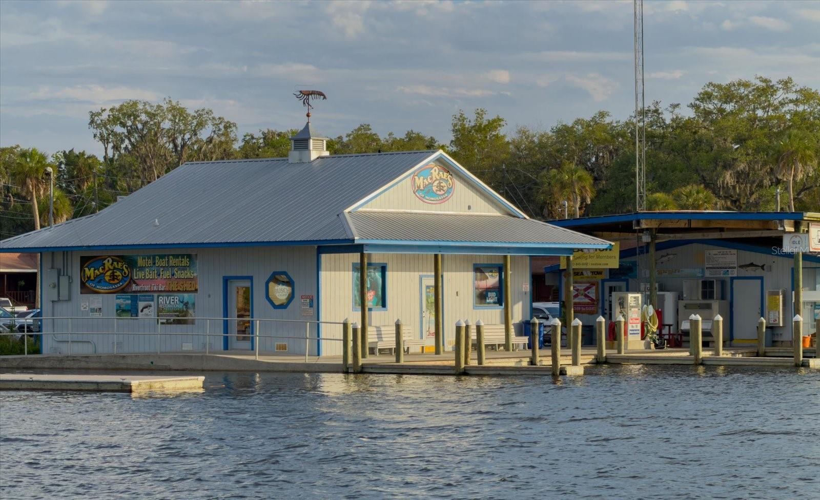 11579 W ROSA CT, HOMOSASSA, FL, 34448