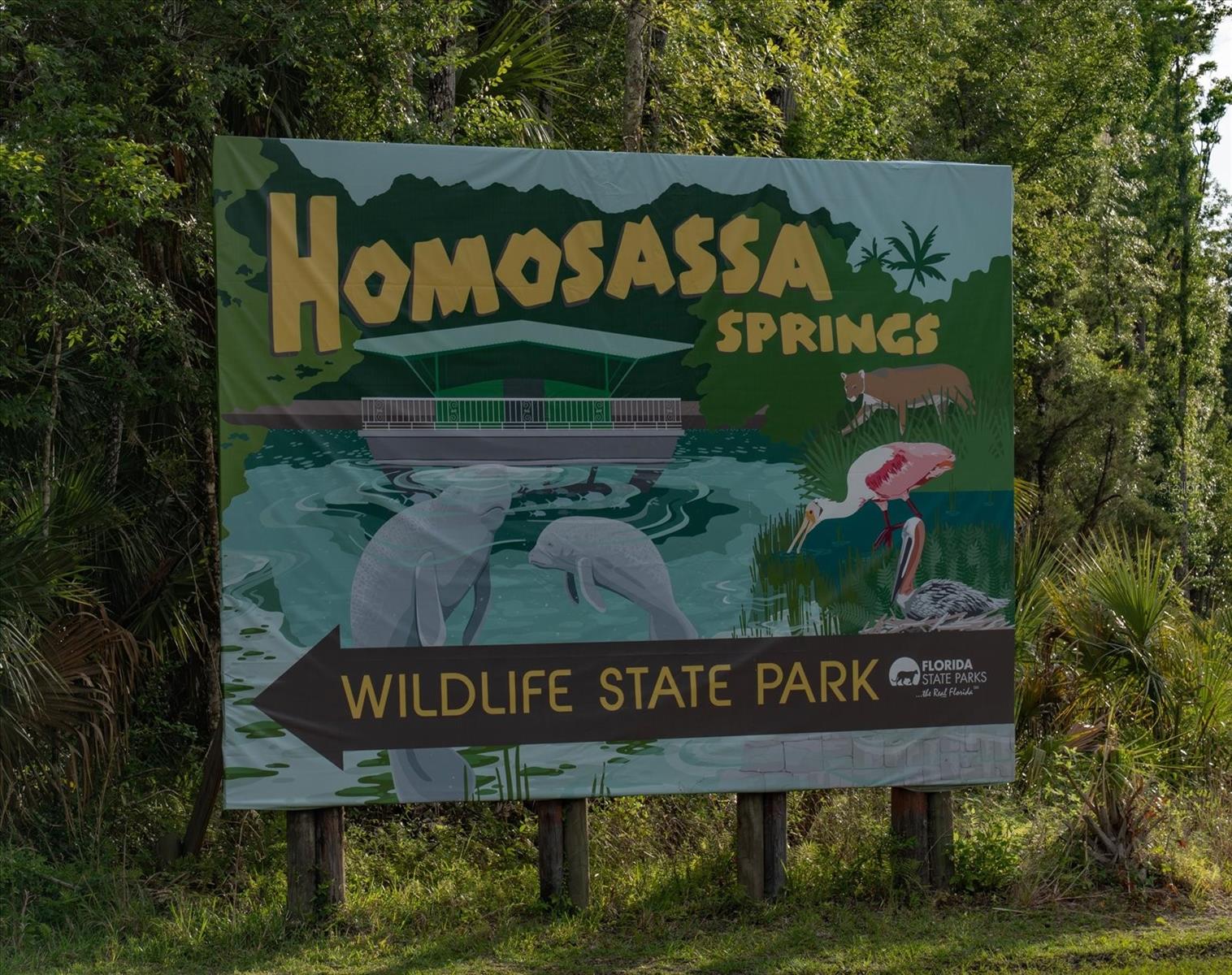 11579 W ROSA CT, HOMOSASSA, FL, 34448