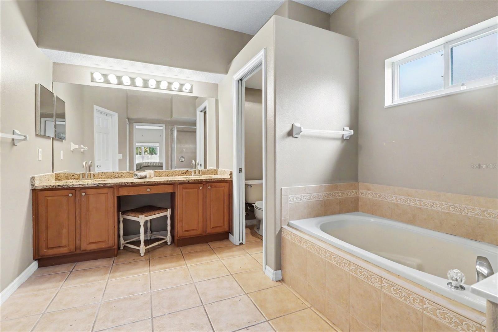 10161 SANDY MARSH LN, ORLANDO, FL, 32832