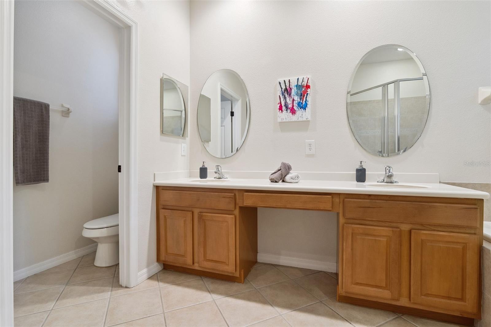 4001 HEIRLOOM ROSE PL, OVIEDO, FL, 32766