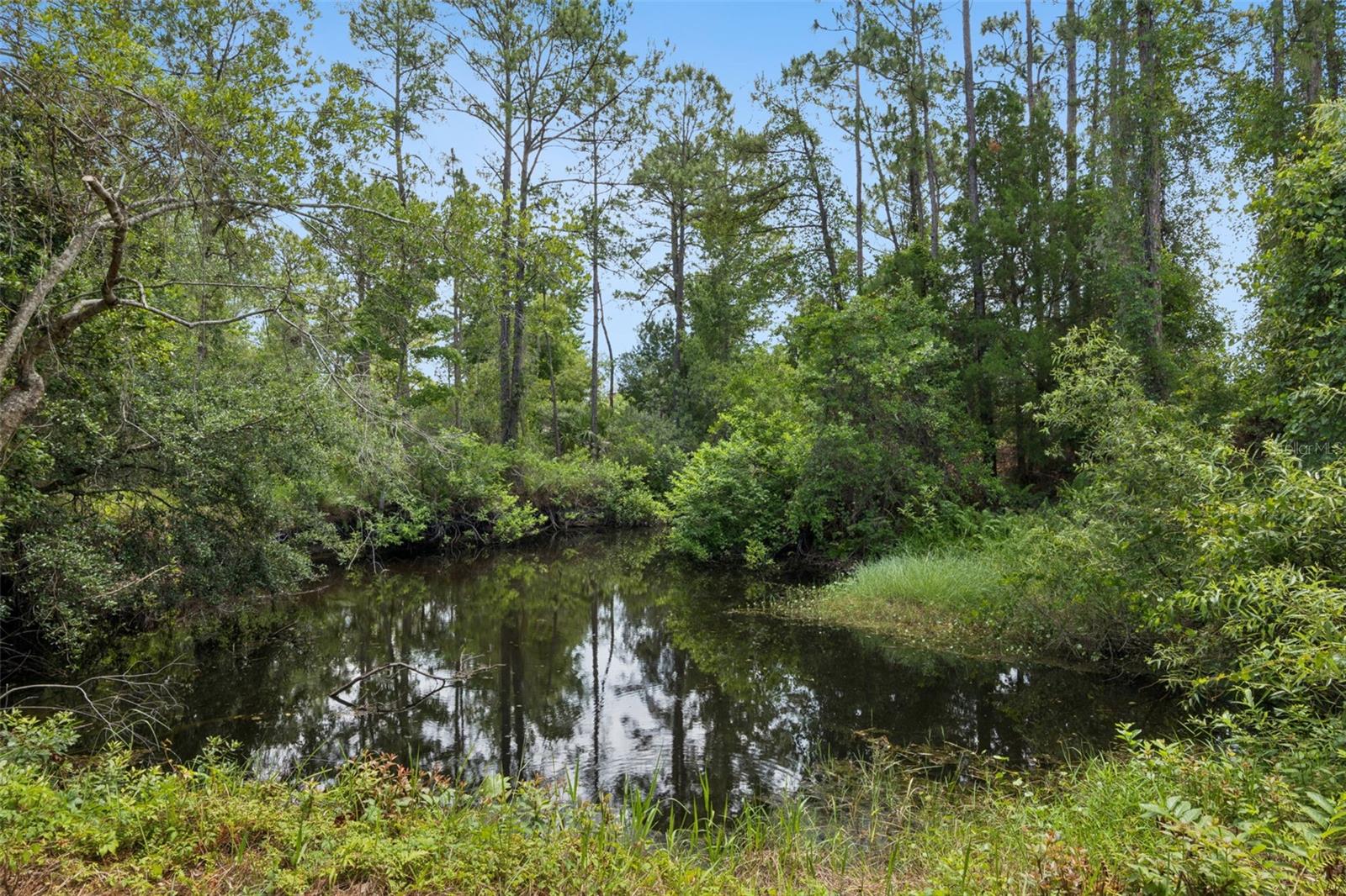 4001 HEIRLOOM ROSE PL, OVIEDO, FL, 32766