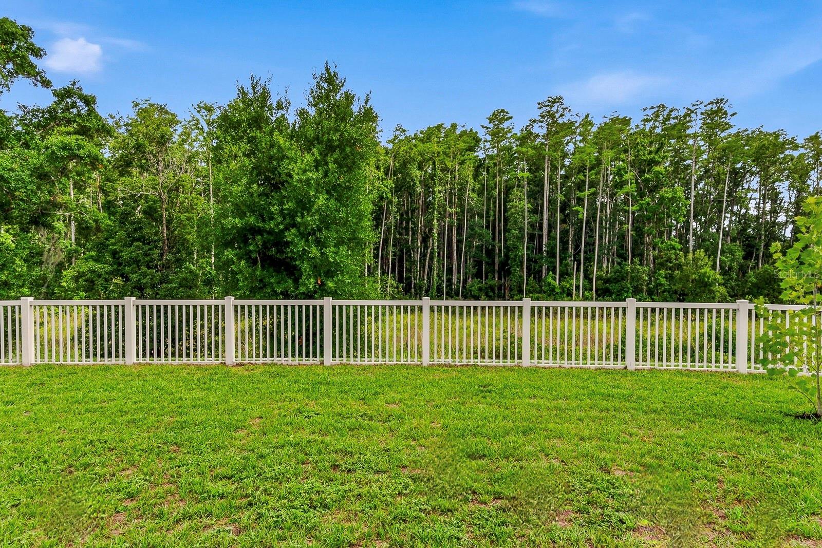 18738 ALFARO LOOP, SPRING HILL, FL, 34610