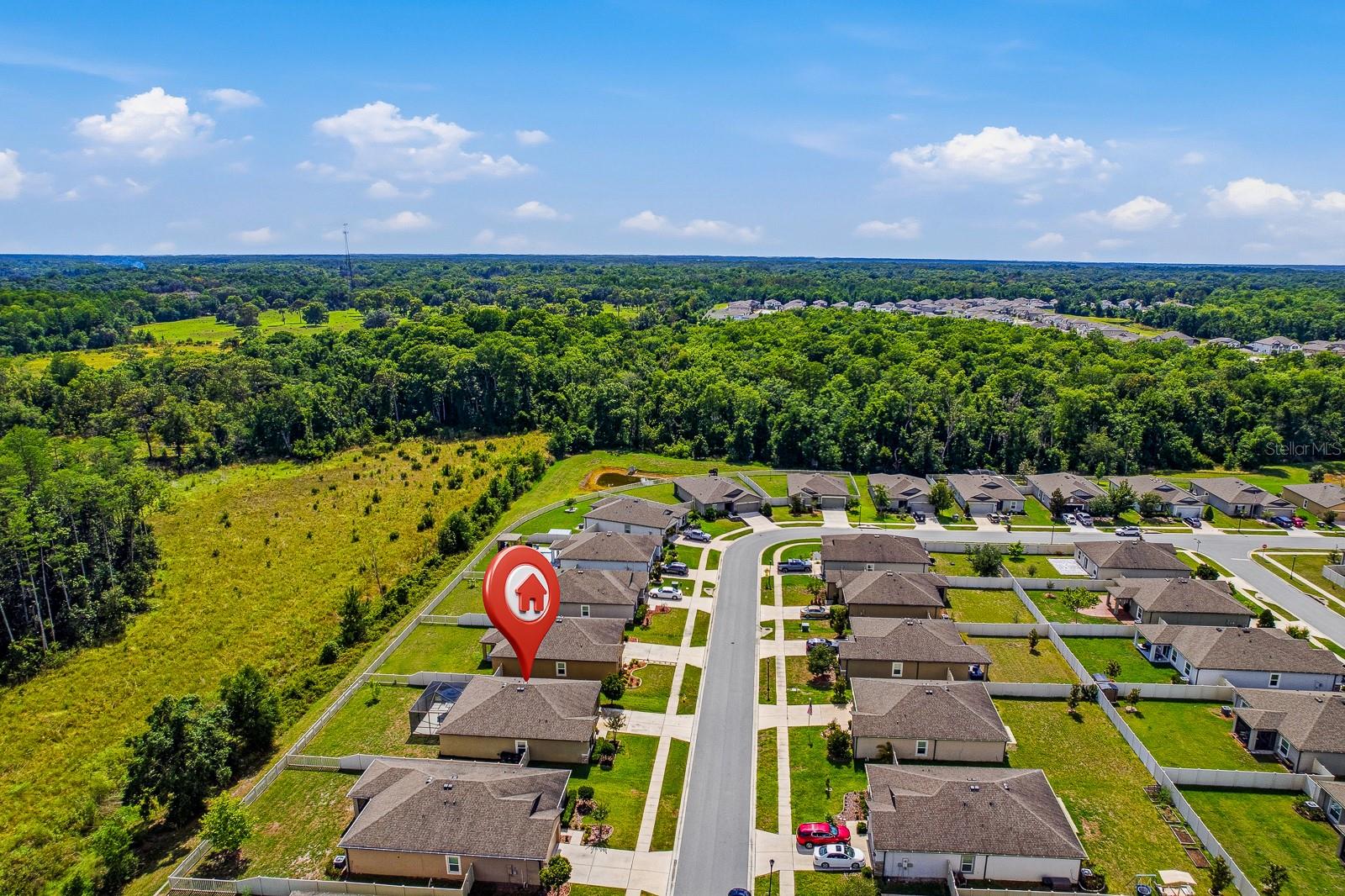 18738 ALFARO LOOP, SPRING HILL, FL, 34610