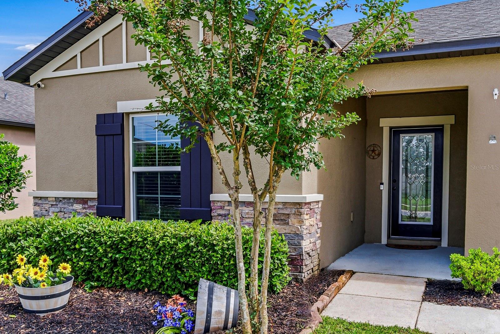 18738 ALFARO LOOP, SPRING HILL, FL, 34610