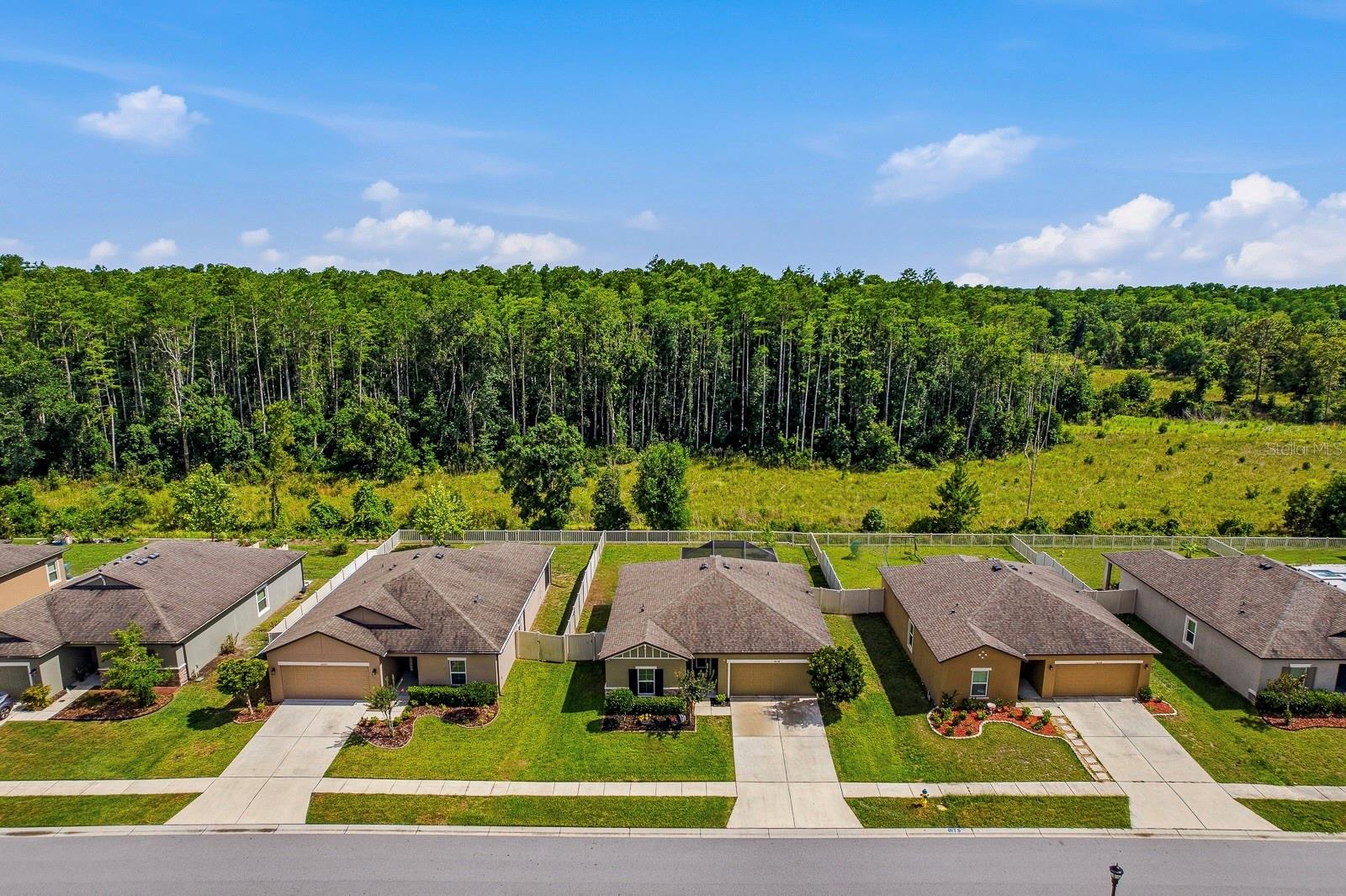 18738 ALFARO LOOP, SPRING HILL, FL, 34610
