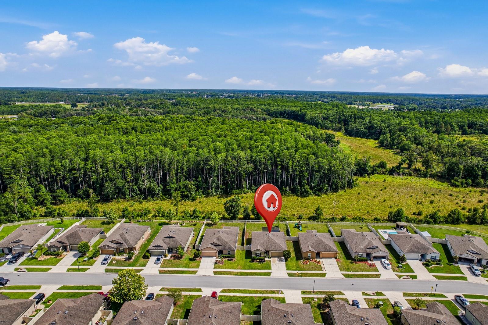 18738 ALFARO LOOP, SPRING HILL, FL, 34610