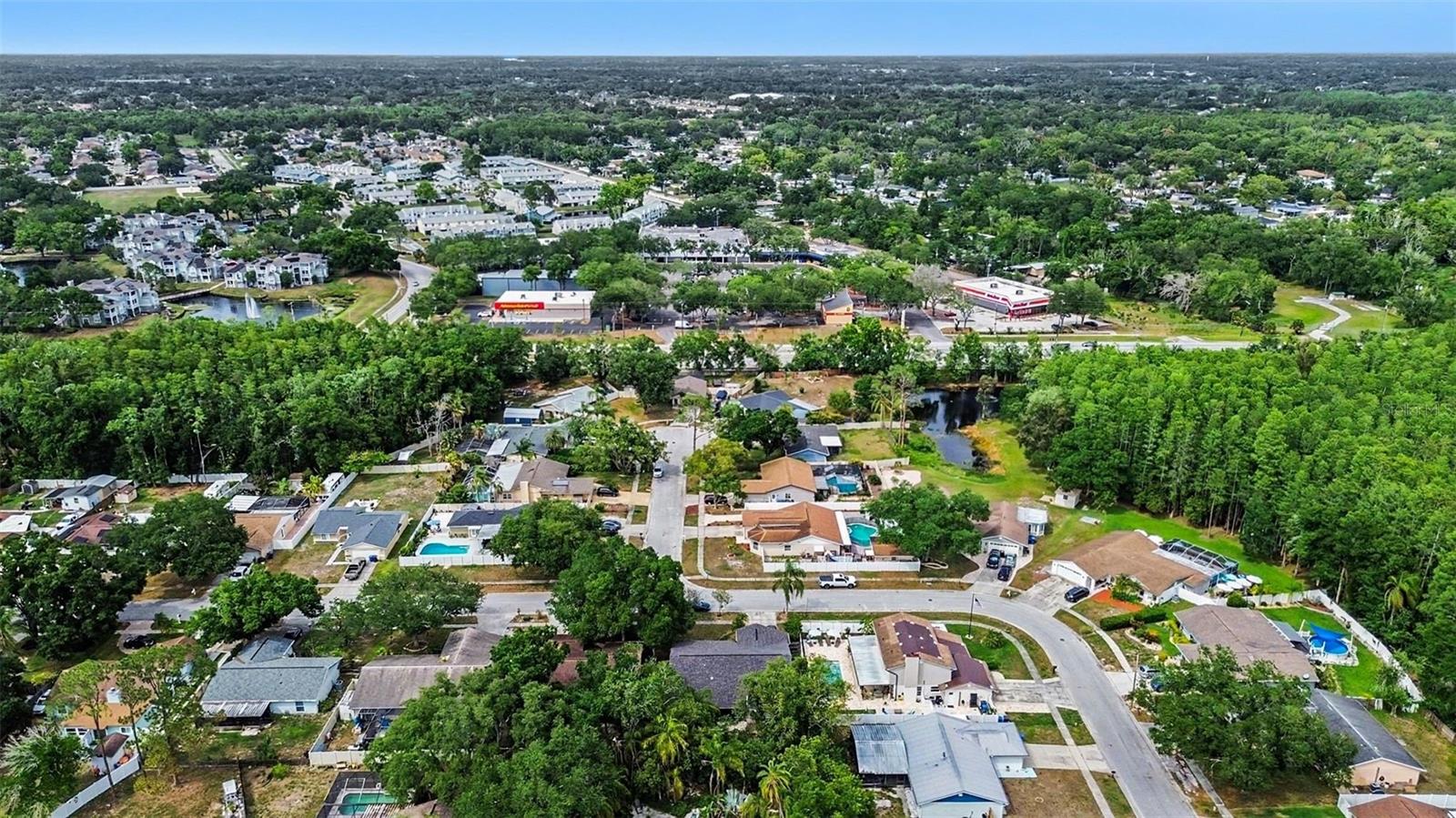 12601 WOOD IBIS WAY, TAMPA, FL, 33624