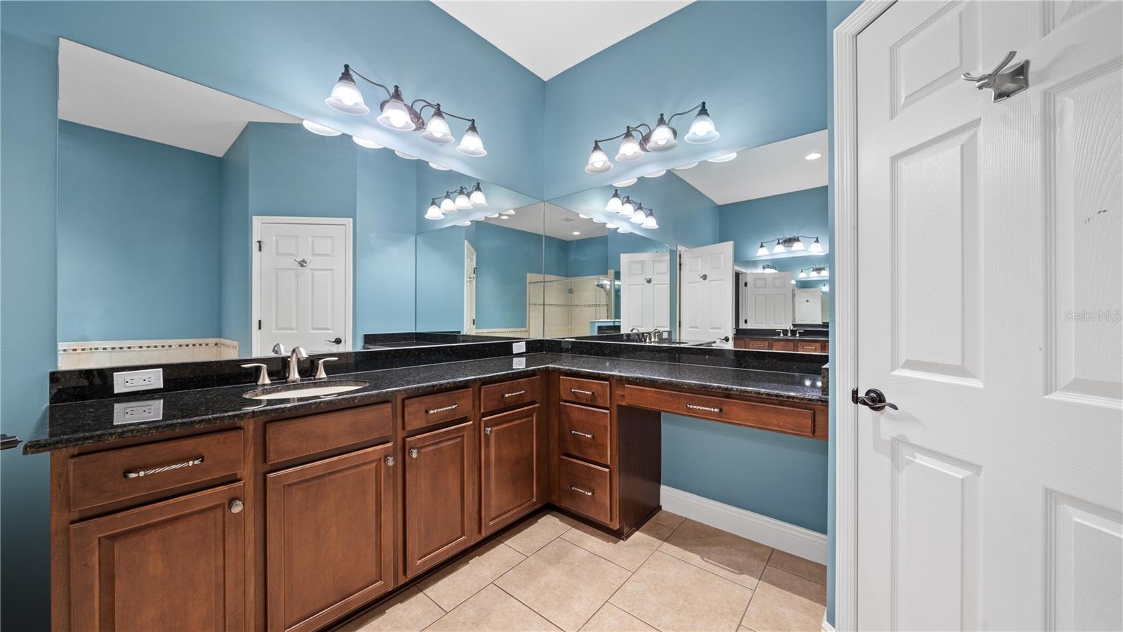 3350 WATERMARK DR, WESLEY CHAPEL, FL, 33544
