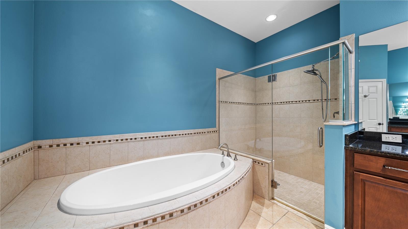 3350 WATERMARK DR, WESLEY CHAPEL, FL, 33544