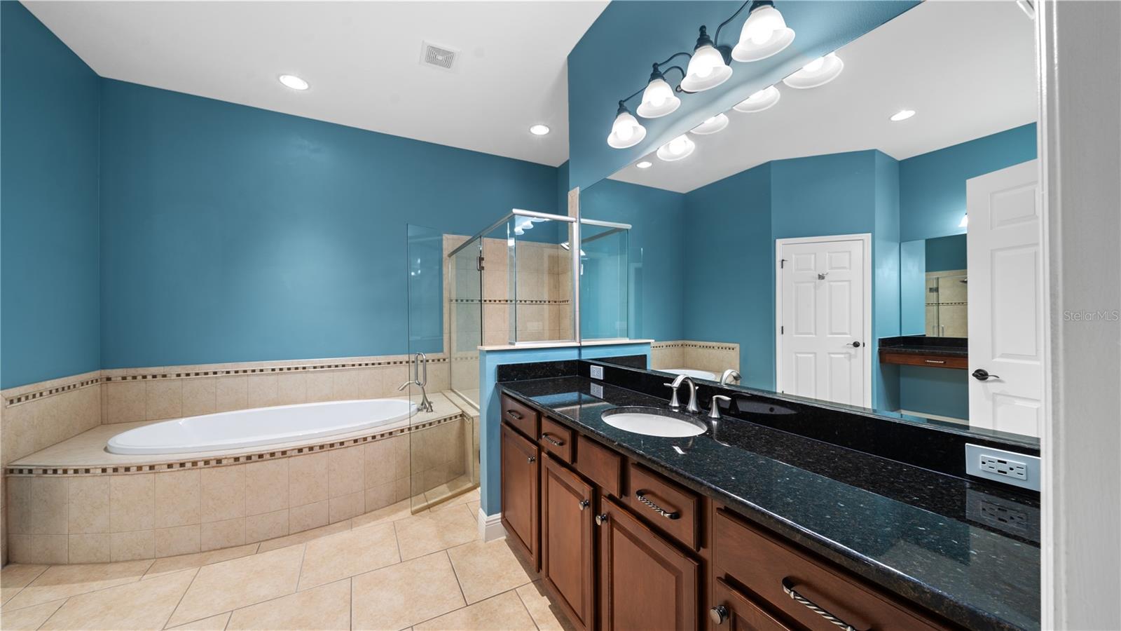 3350 WATERMARK DR, WESLEY CHAPEL, FL, 33544