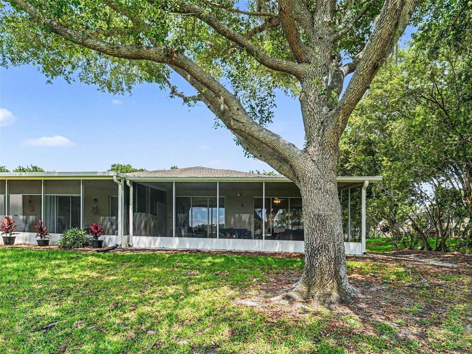 5919 PHOEBENEST DR, LITHIA, FL, 33547