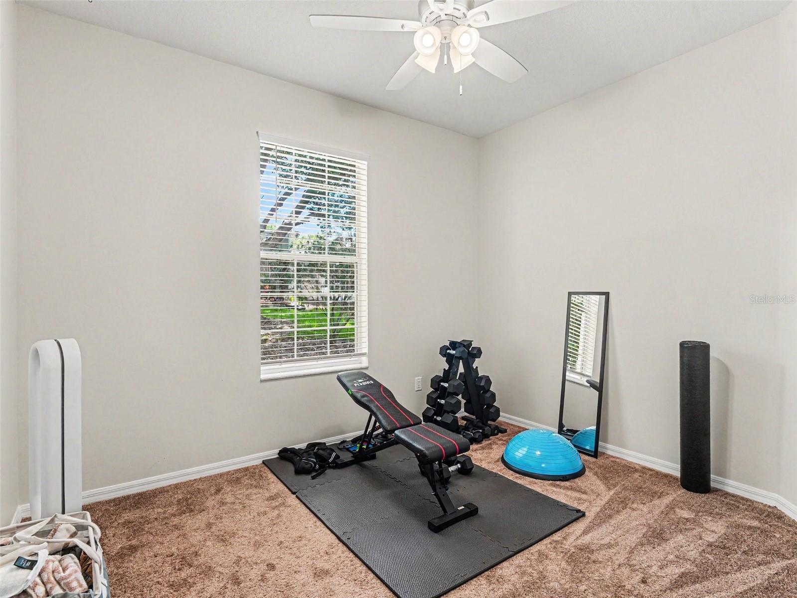 5919 PHOEBENEST DR, LITHIA, FL, 33547