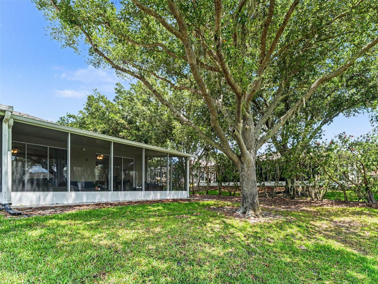 5919 PHOEBENEST DR, LITHIA, FL, 33547