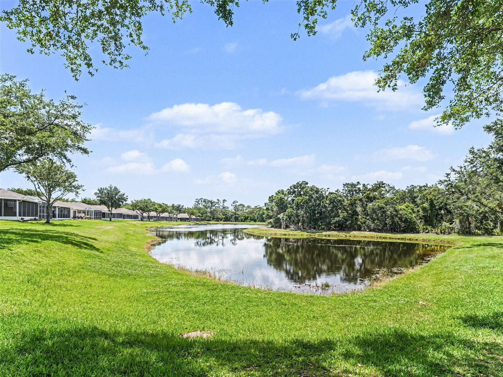 5919 PHOEBENEST DR, LITHIA, FL, 33547