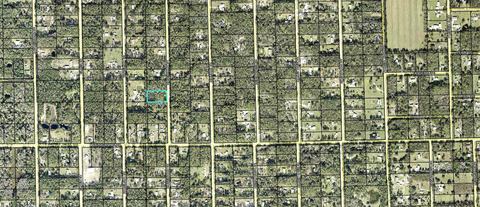 1352 ROSEWOOD ST, BUNNELL, FL, 32110