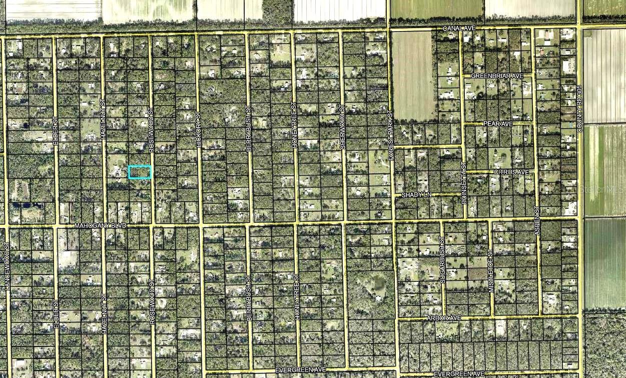 1352 ROSEWOOD ST, BUNNELL, FL, 32110