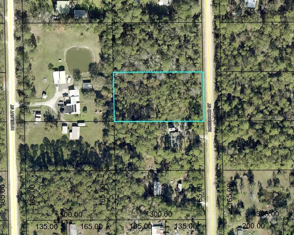 1352 ROSEWOOD ST, BUNNELL, FL, 32110