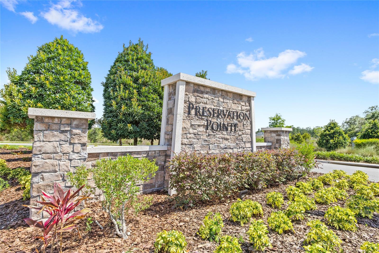 337 PRESERVE POINTE BLVD, DAVENPORT, FL, 33837