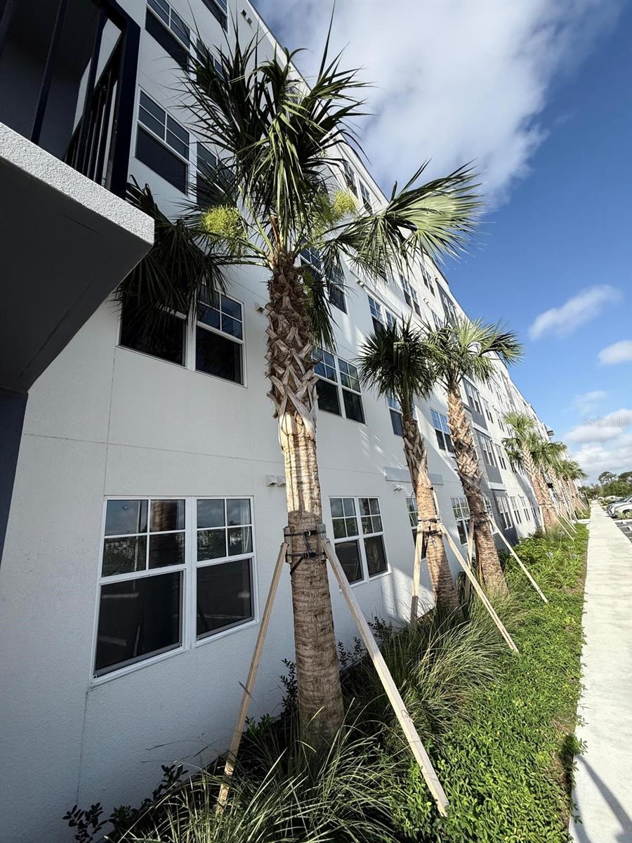 5579 PGA BLVD #524, ORLANDO, FL, 32839