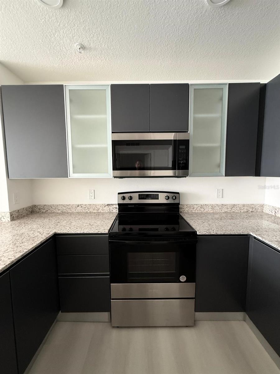 5579 PGA BLVD #524, ORLANDO, FL, 32839