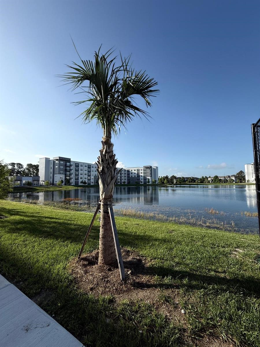 5579 PGA BLVD #524, ORLANDO, FL, 32839