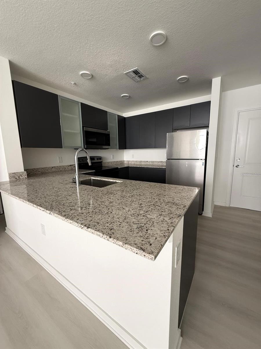 5579 PGA BLVD #524, ORLANDO, FL, 32839