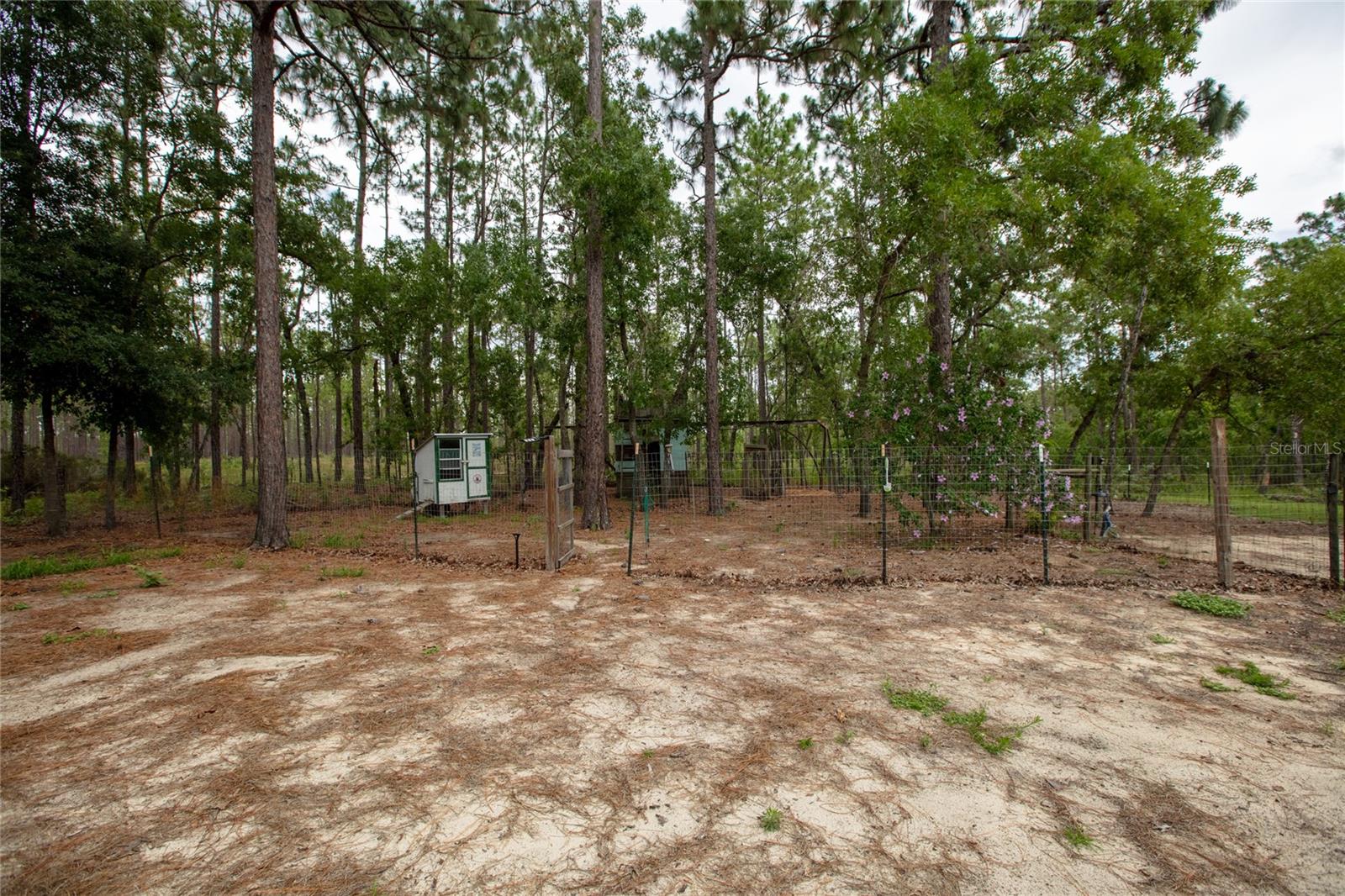 249 MELROSE LANDING DR, HAWTHORNE, FL, 32640