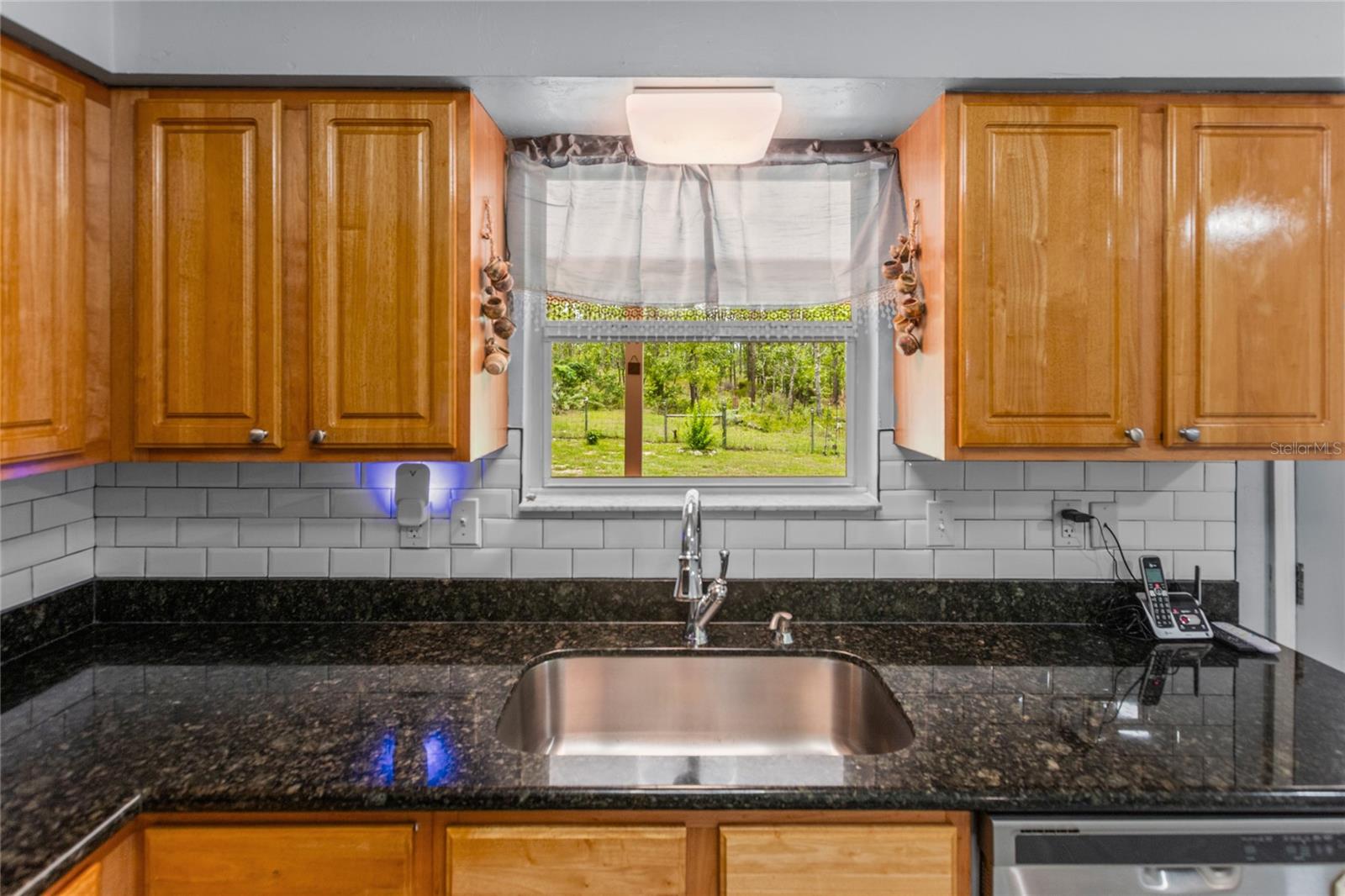 249 MELROSE LANDING DR, HAWTHORNE, FL, 32640