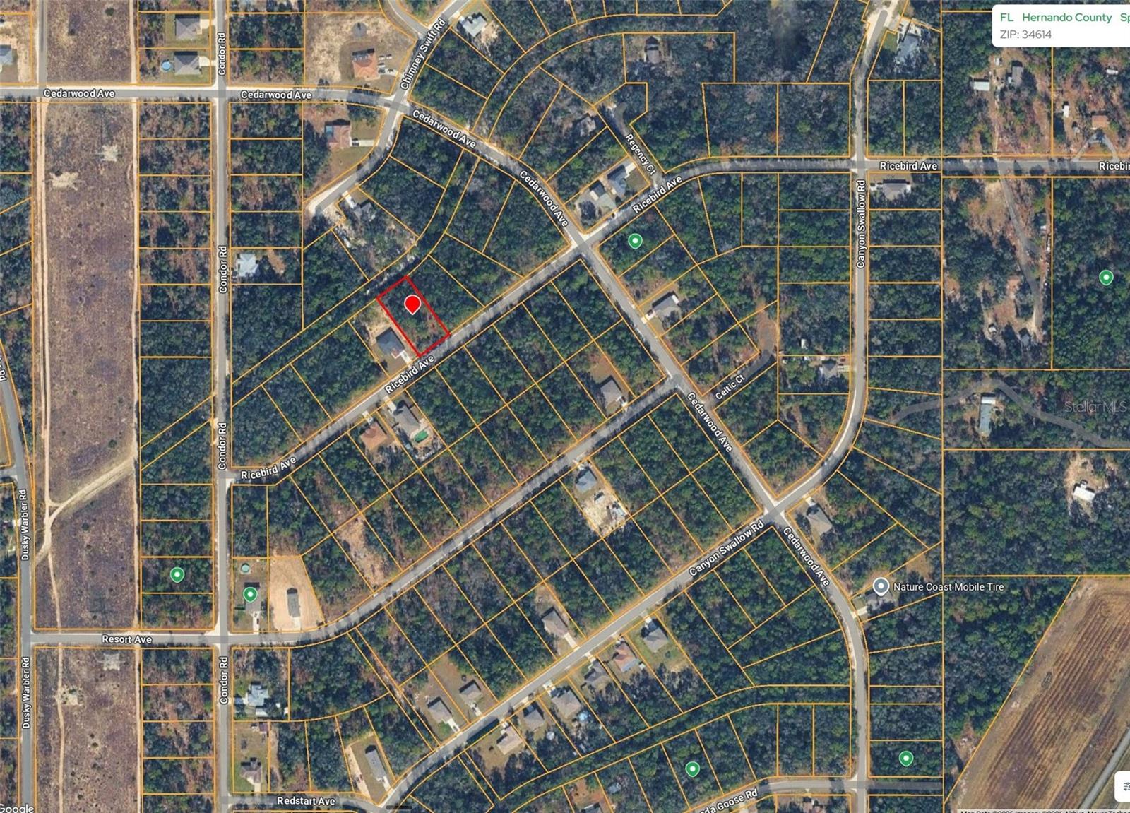 14041 RICEBIRD AVE, WEEKI WACHEE, FL, 34614