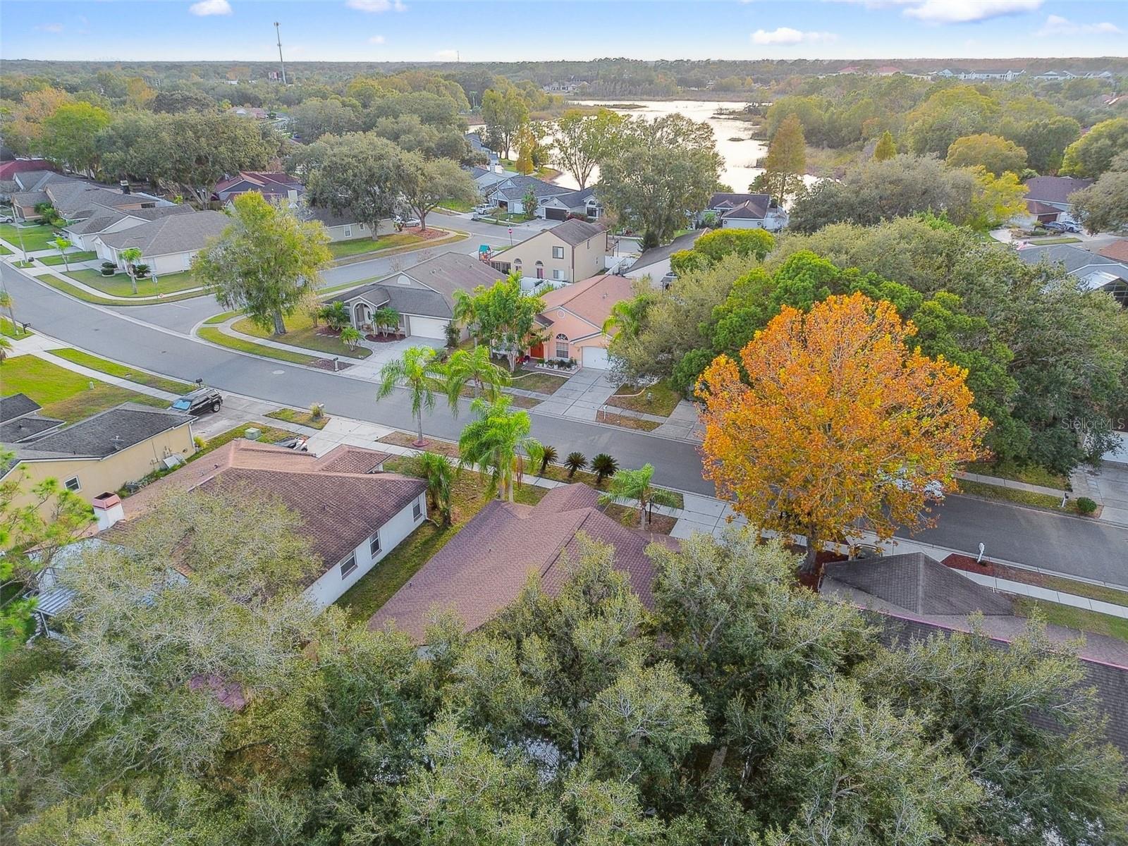 2342 TIOGA DR, LAND O LAKES, FL, 34639