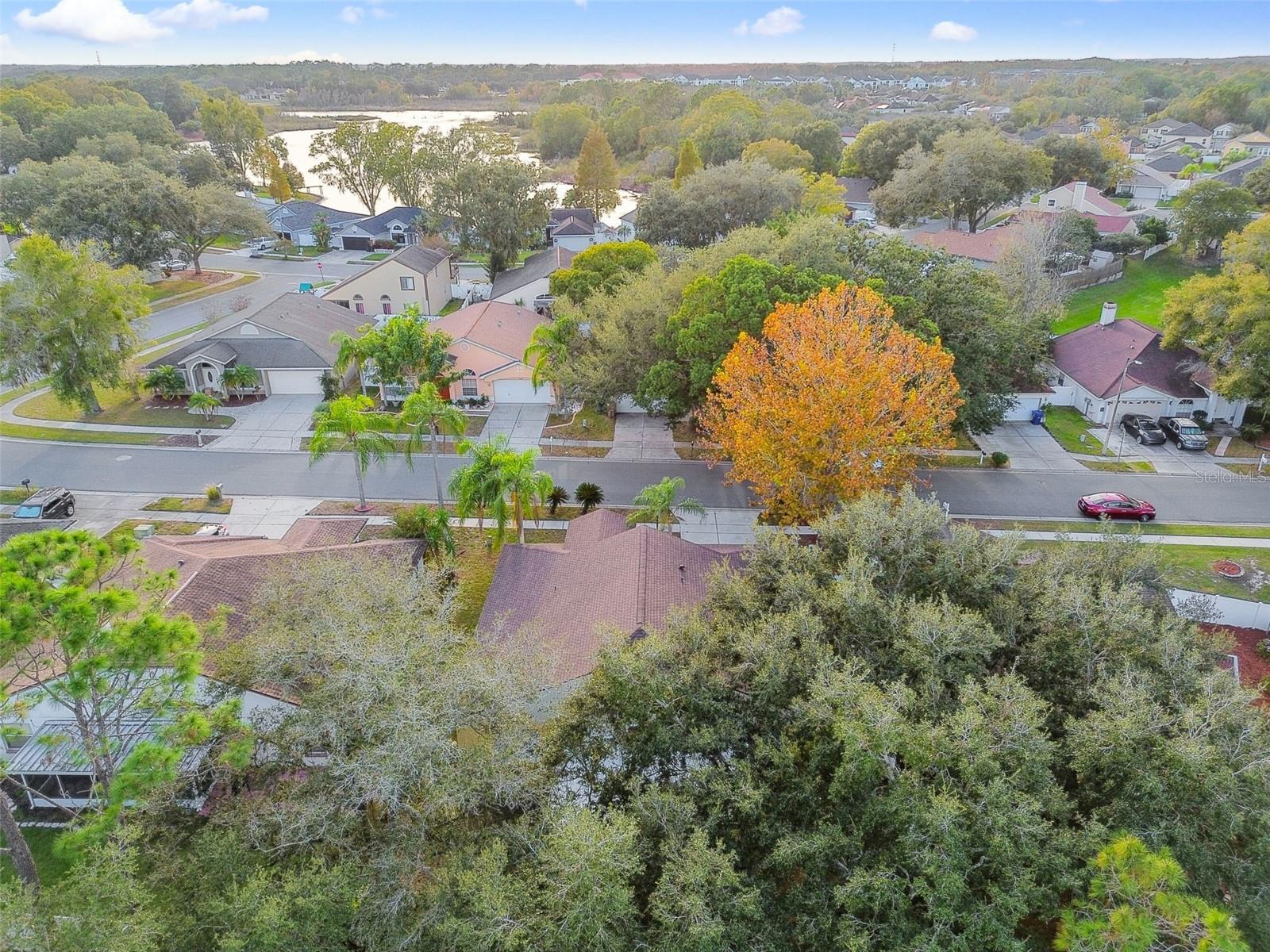 2342 TIOGA DR, LAND O LAKES, FL, 34639