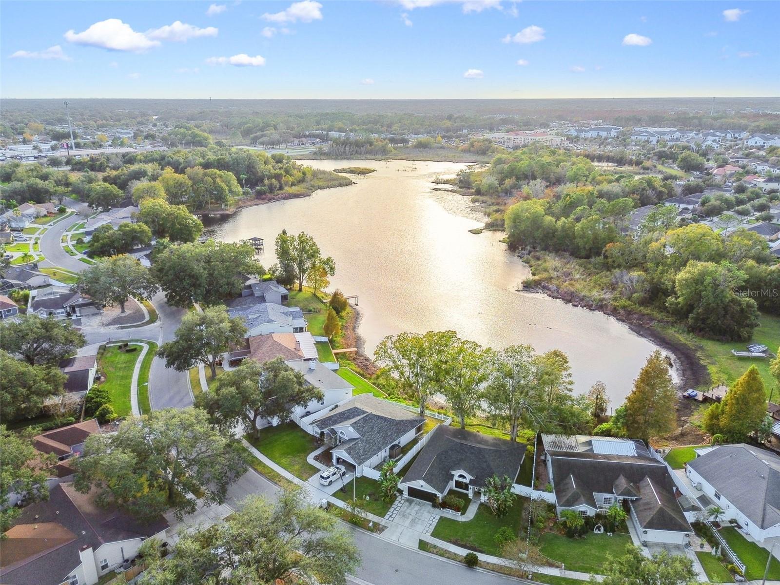 2342 TIOGA DR, LAND O LAKES, FL, 34639