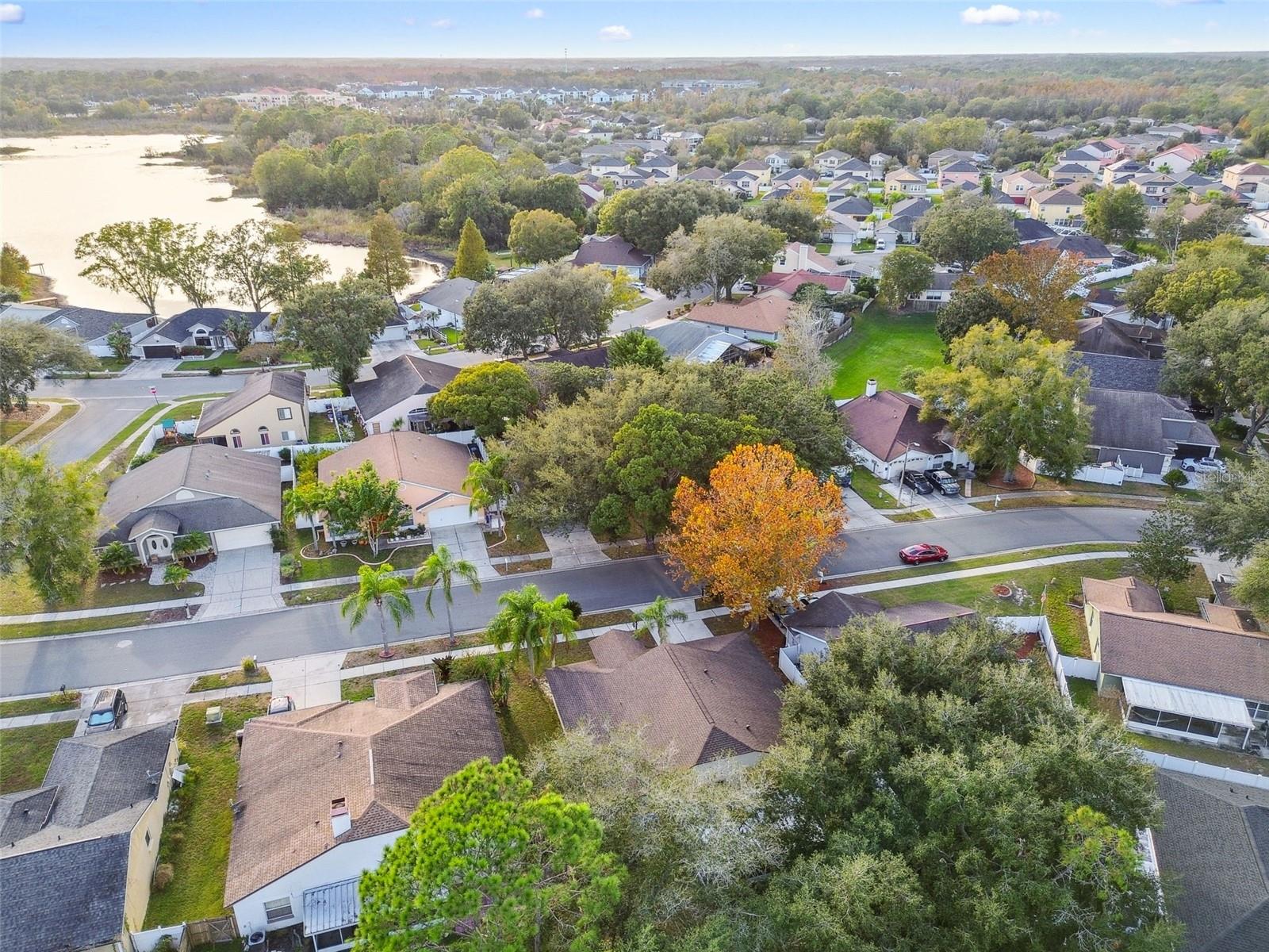 2342 TIOGA DR, LAND O LAKES, FL, 34639